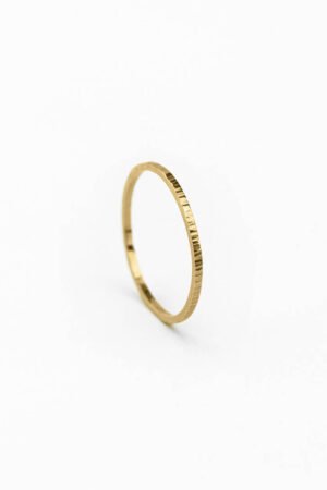 Bague HIERBA 01